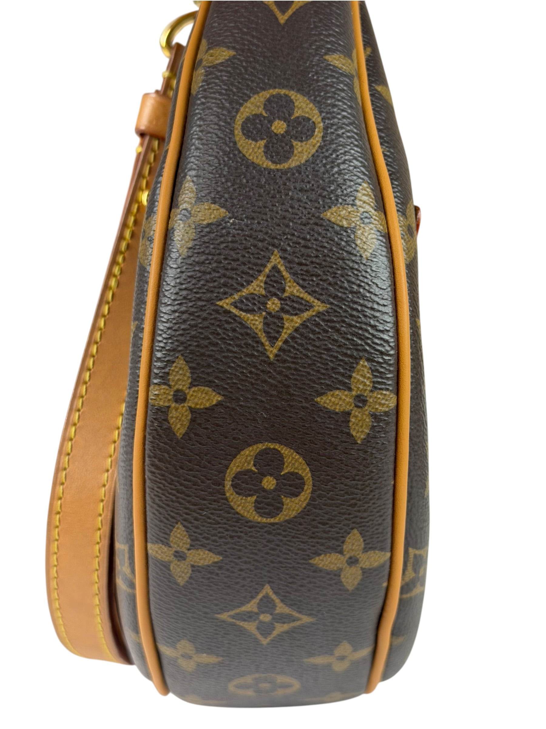 Louis Vuitton Monogram Loop Pochette
