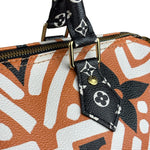 Louis Vuitton Multicolor Crafty Speedy Bandouliere 25