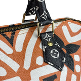 Louis Vuitton Multicolor Crafty Speedy Bandouliere 25
