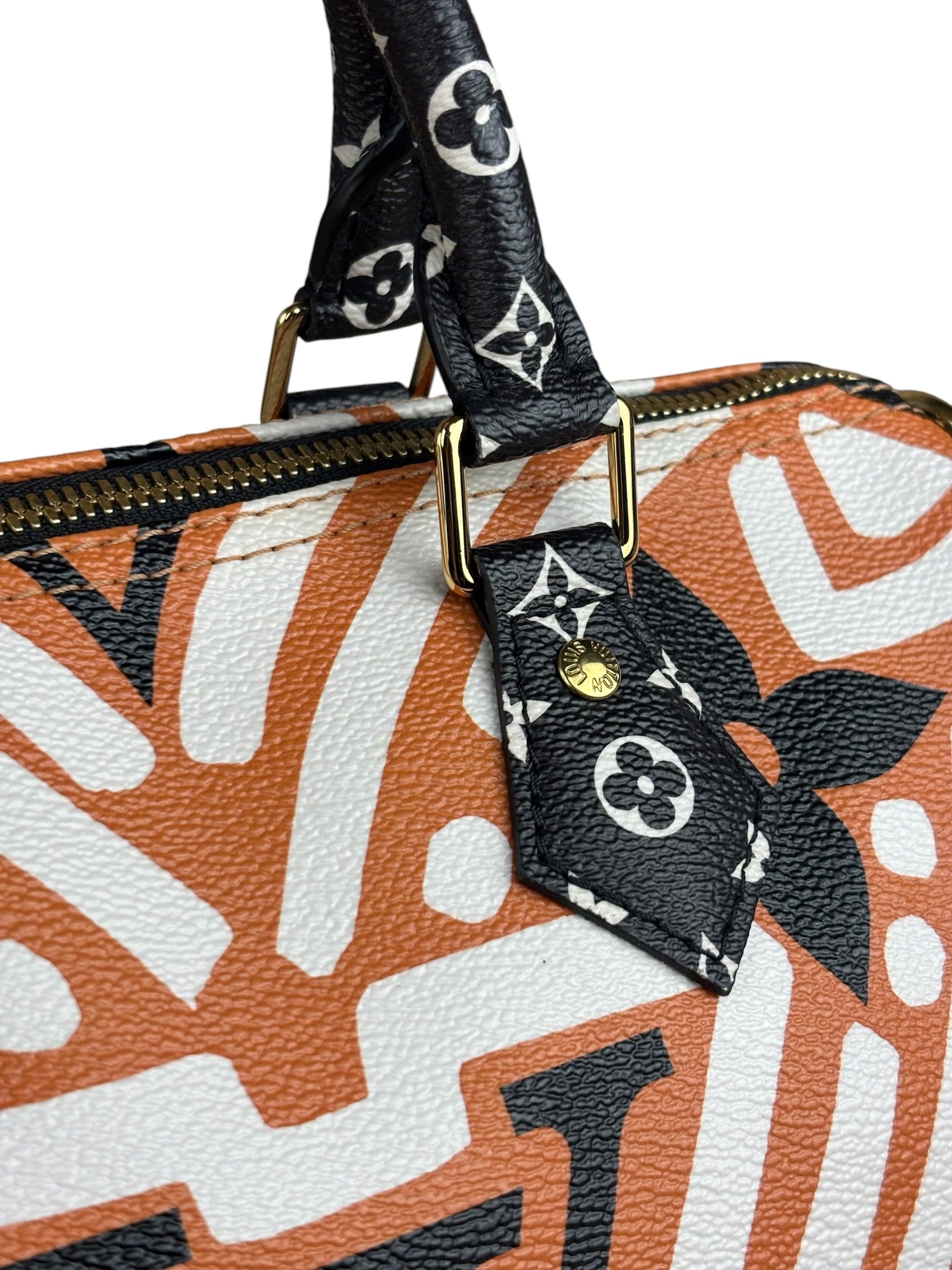 Louis Vuitton Multicolor Crafty Speedy Bandouliere 25