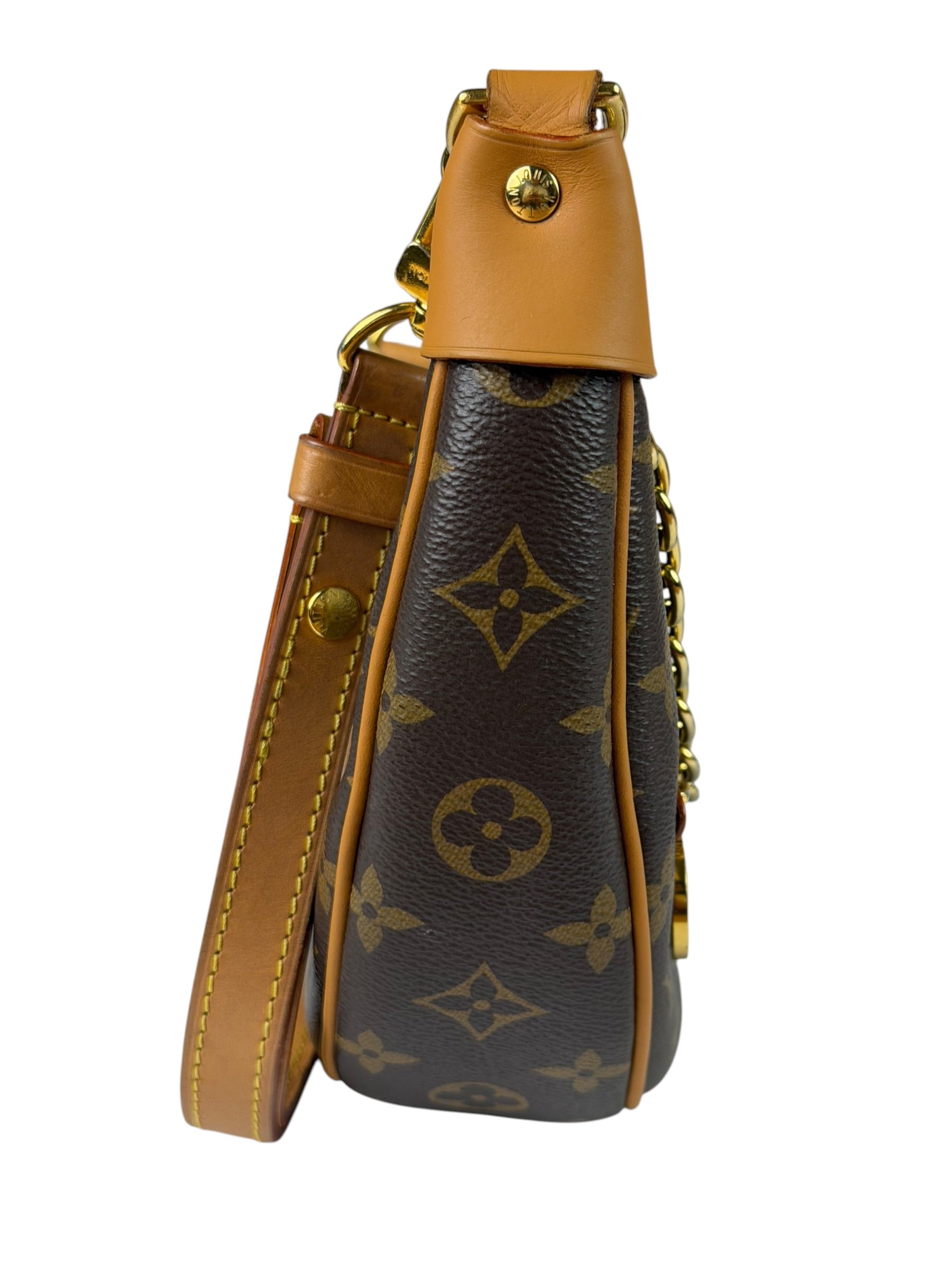Louis Vuitton Monogram Loop Pochette