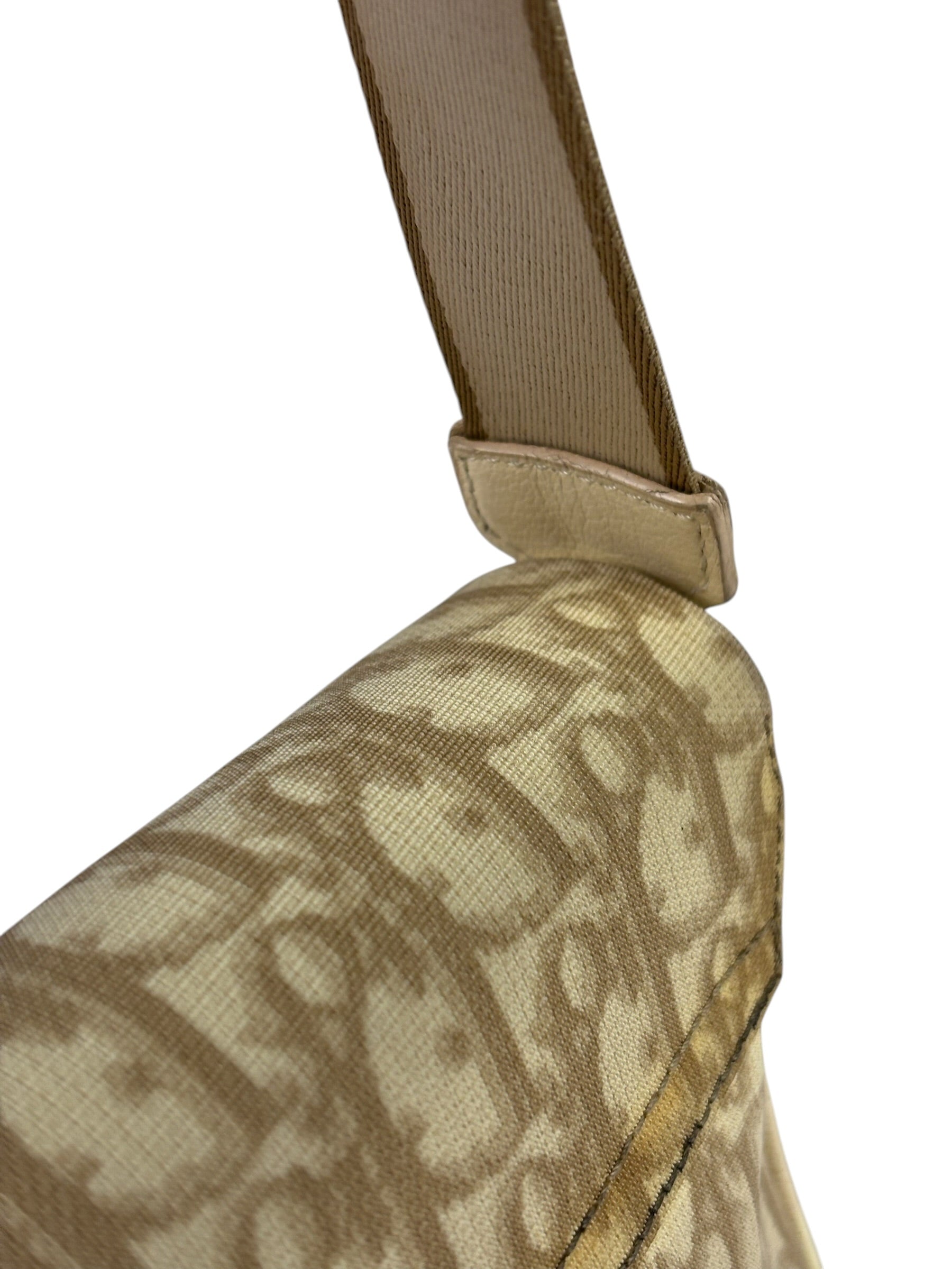 Christian Dior Trotter Flower Embroidered Flap Crossbody