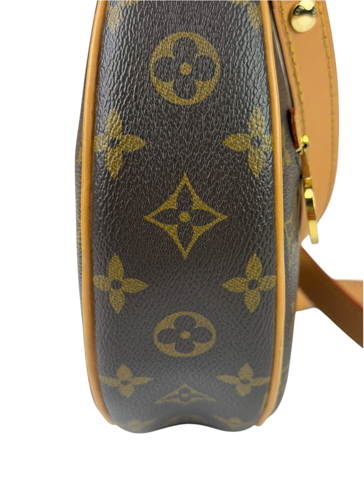 Louis Vuitton Monogram Loop Pochette