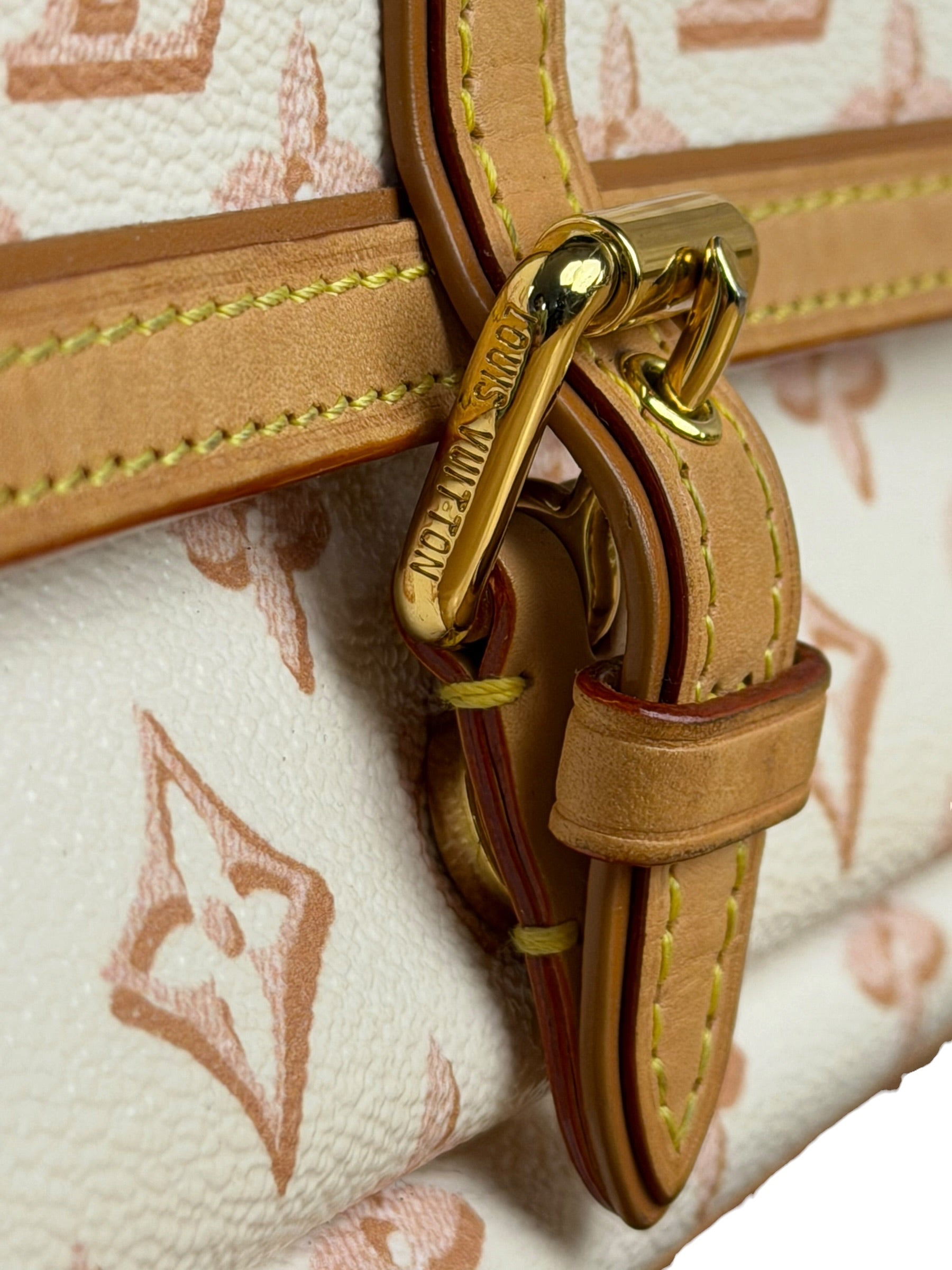 Louis Vuitton Monogram Maxi Multi Pochette