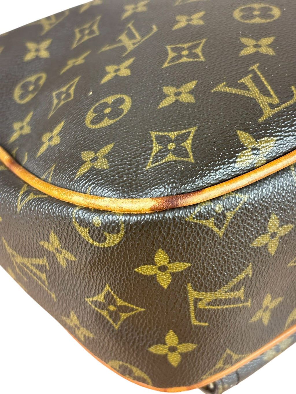 Louis Vuitton Monogram Hudson MM