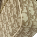 Christian Dior Beige Leather Trim Trotter Floral Embroidered Flap Bag