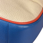Coach Colorblock Leather Teri Pochette/Crossbody Bag