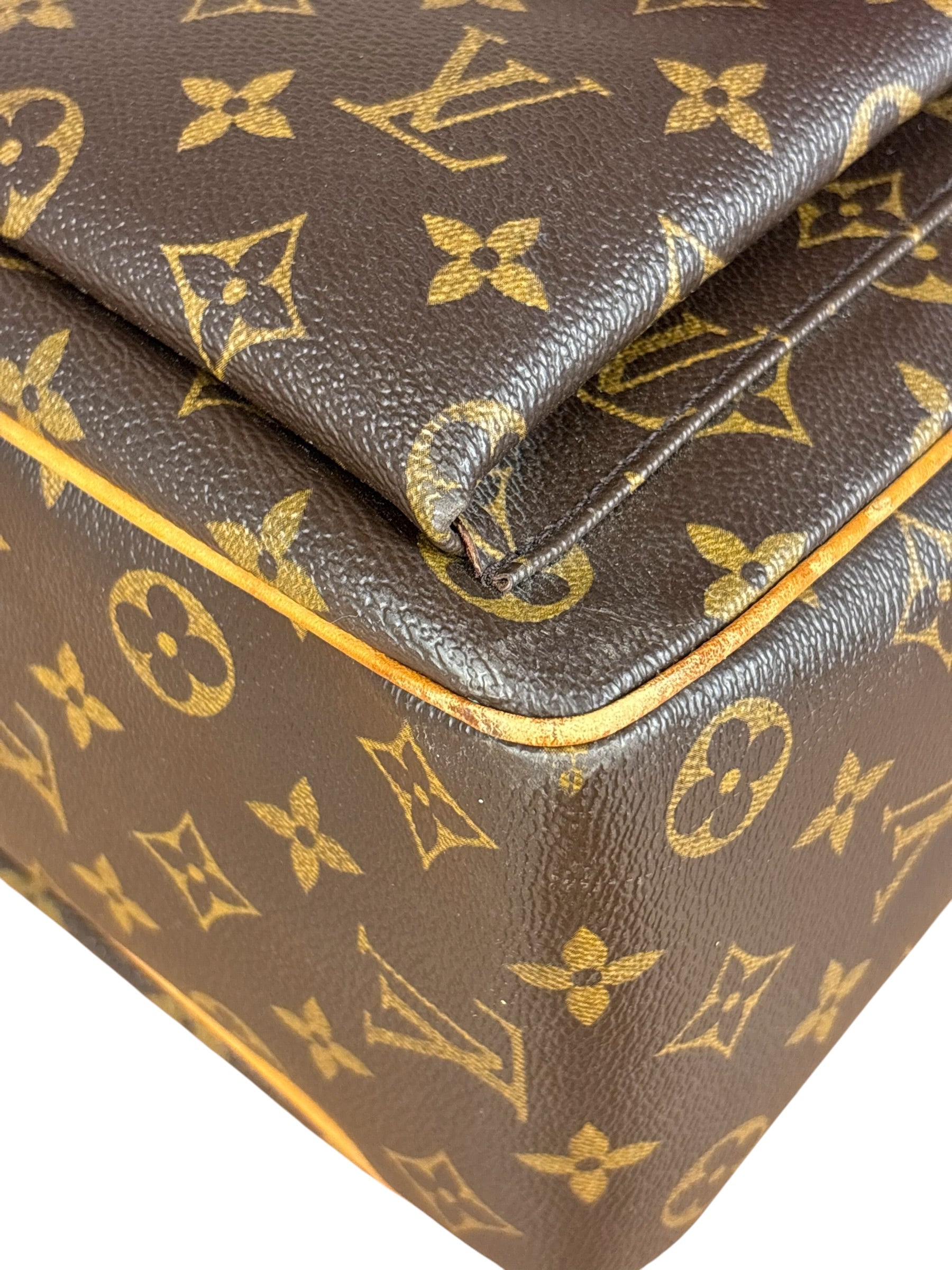 Louis Vuitton Canvas Monogram Multipli-Cite Tote Bag