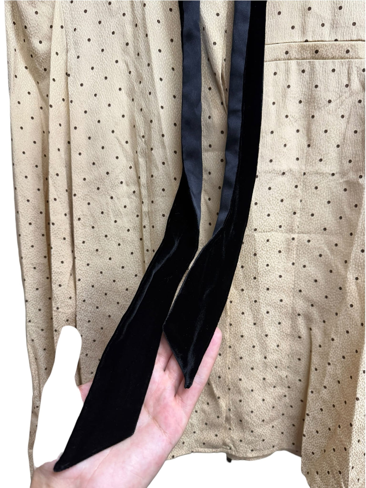 Chloe Beige Silk Polka Dot Velour Bow Blouse