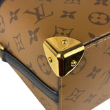 Louis Vuitton Monogram Reverse Noe Mini Bag