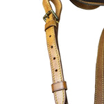 Louis Vuitton Monogram Ellipse Sac À Dos Backpack