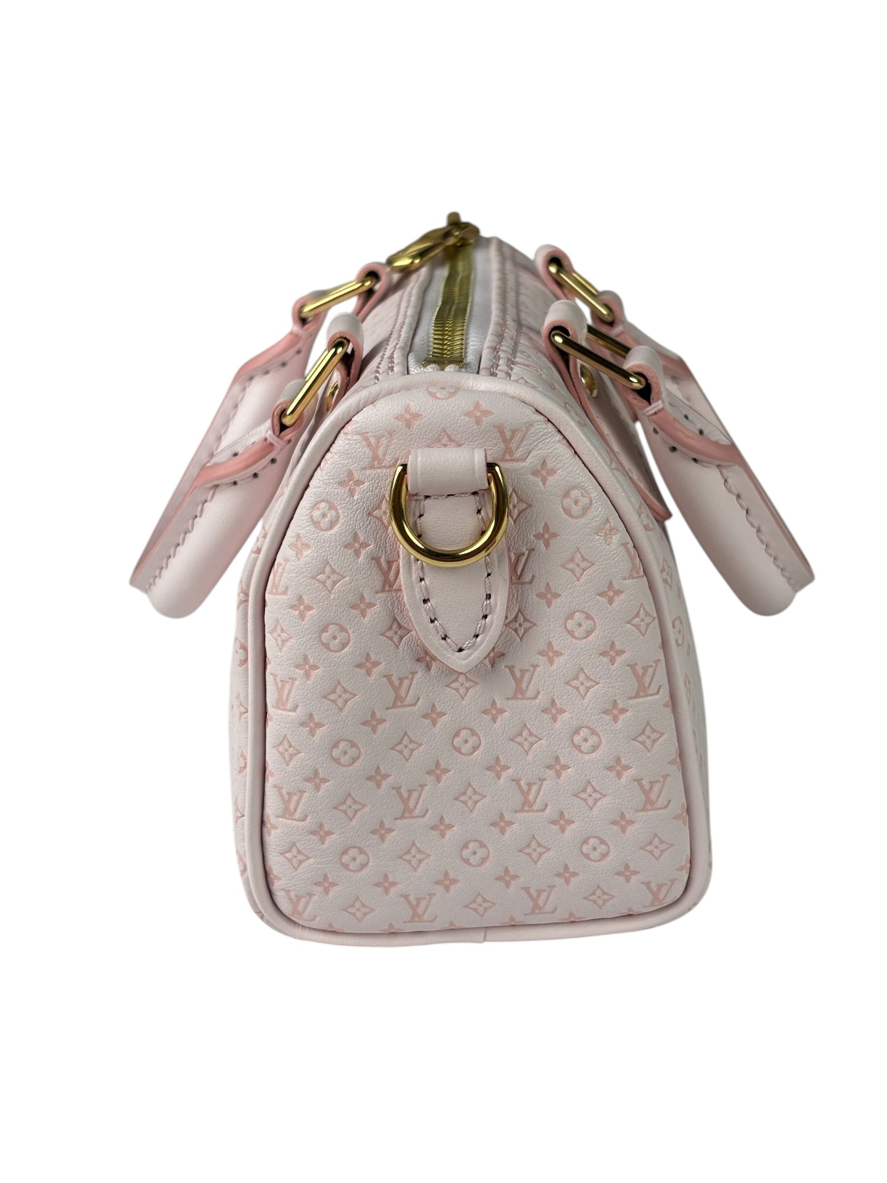 Louis Vuitton Light Bliss Monogram Nano Speedy