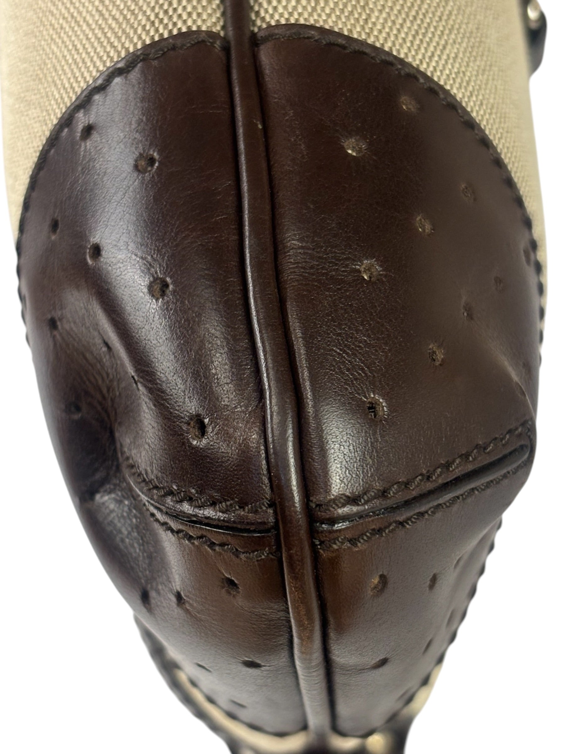 Gucci Brown/Beige Leather Trim Reins Canvas Web Hobo Bag