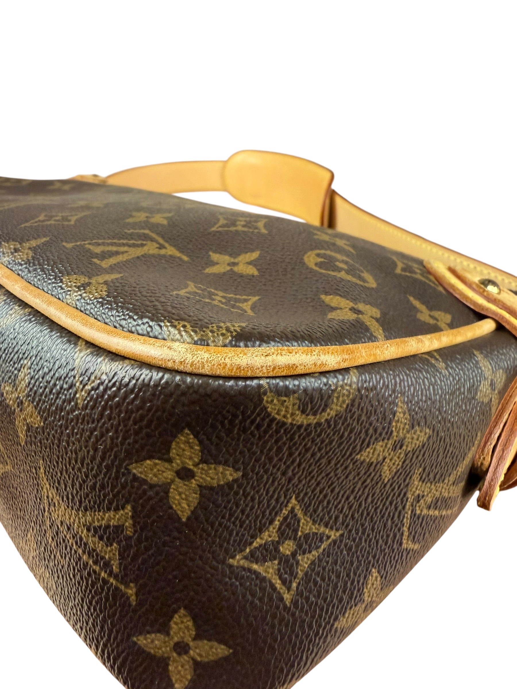 Louis Vuitton Monogram Hudson Two-Way Bag PM