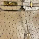 Hermes Birkin 35 Mousse Ostrich 2001