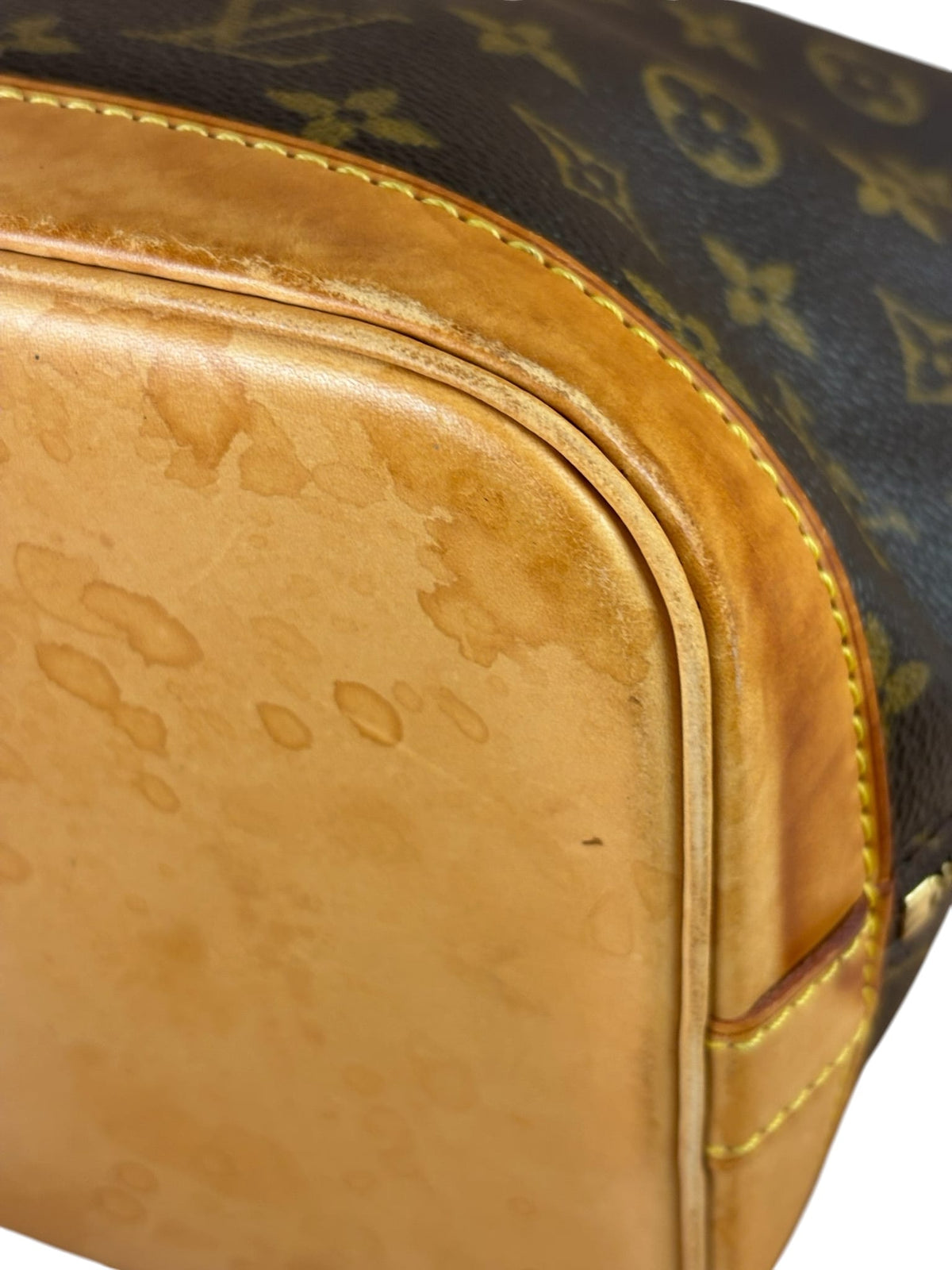 Louis Vuitton Monogram Alma Handbag PM
