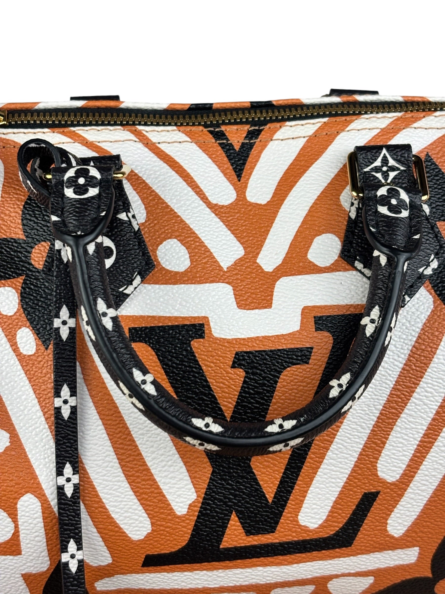 Louis Vuitton Multicolor Crafty Speedy Bandouliere 25