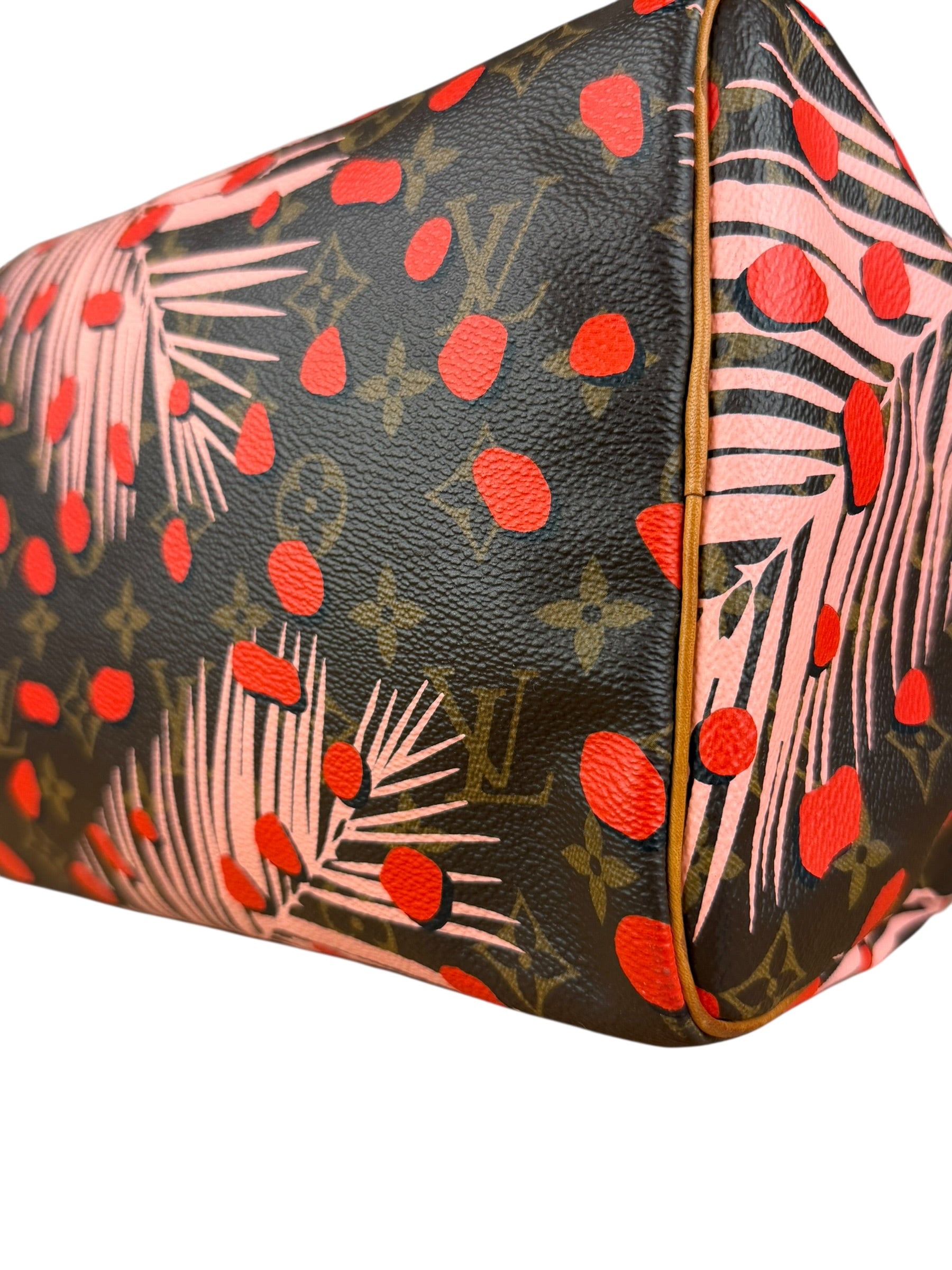 Louis Vuitton Limited Edition Jungle Dots Speedy 30