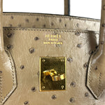 Hermes Birkin 35 Mousse Ostrich 2001