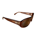 Stussy Brown Frame Sunglasses
