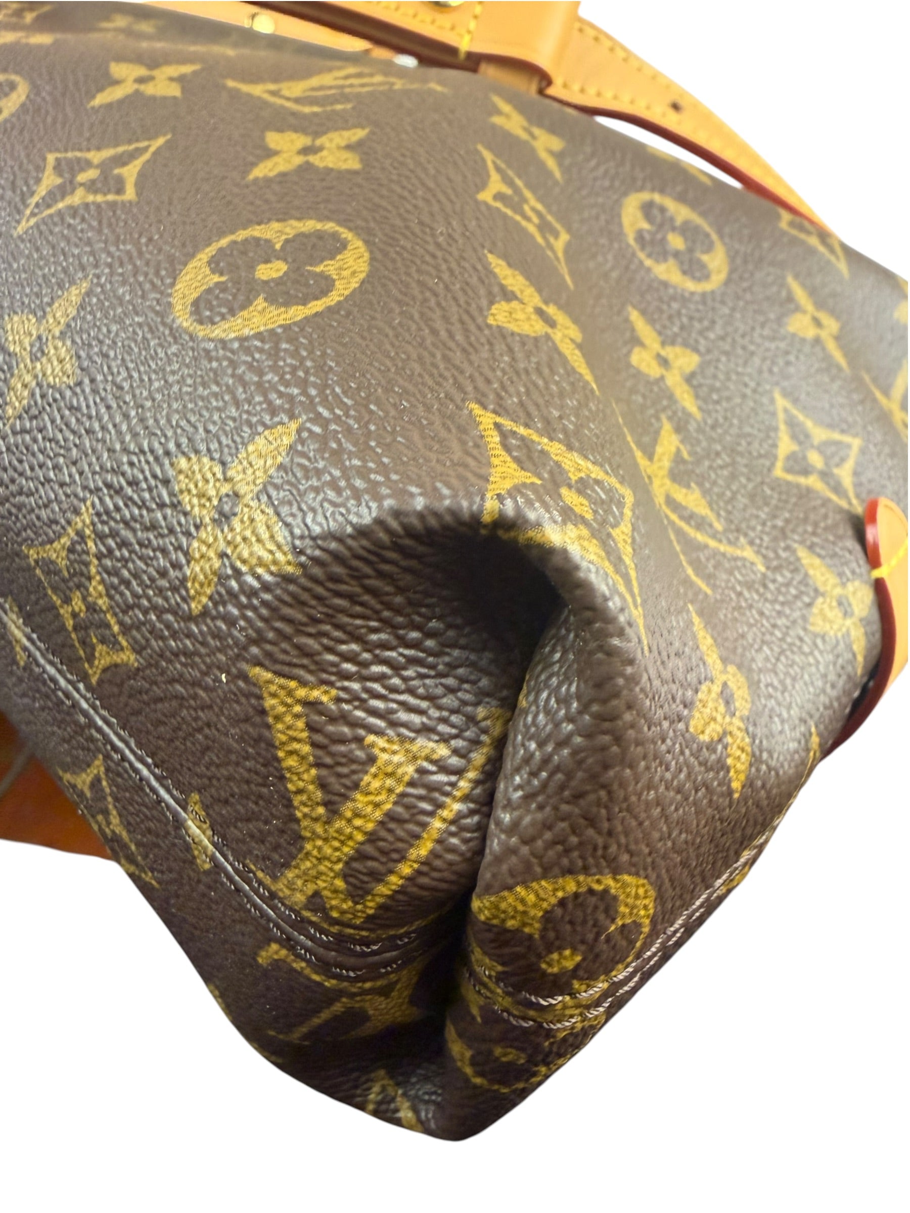 Louis Vuitton Monogram CarryAll Bag MM