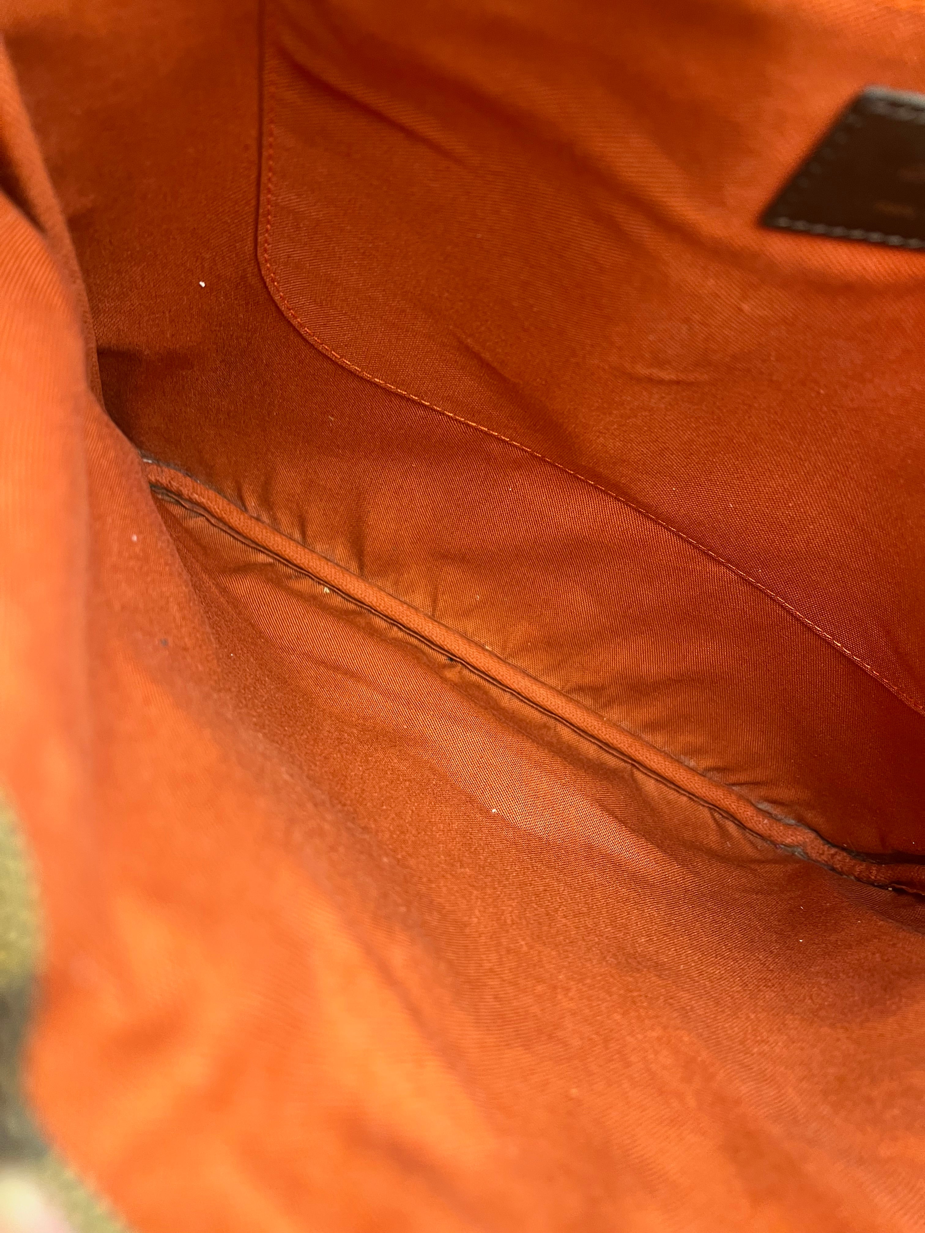 Louis Vuitton Damier Ebene Parioli Shoulder Tote