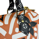 Louis Vuitton Multicolor Crafty Speedy Bandouliere 25