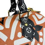 Louis Vuitton Multicolor Crafty Speedy Bandouliere 25