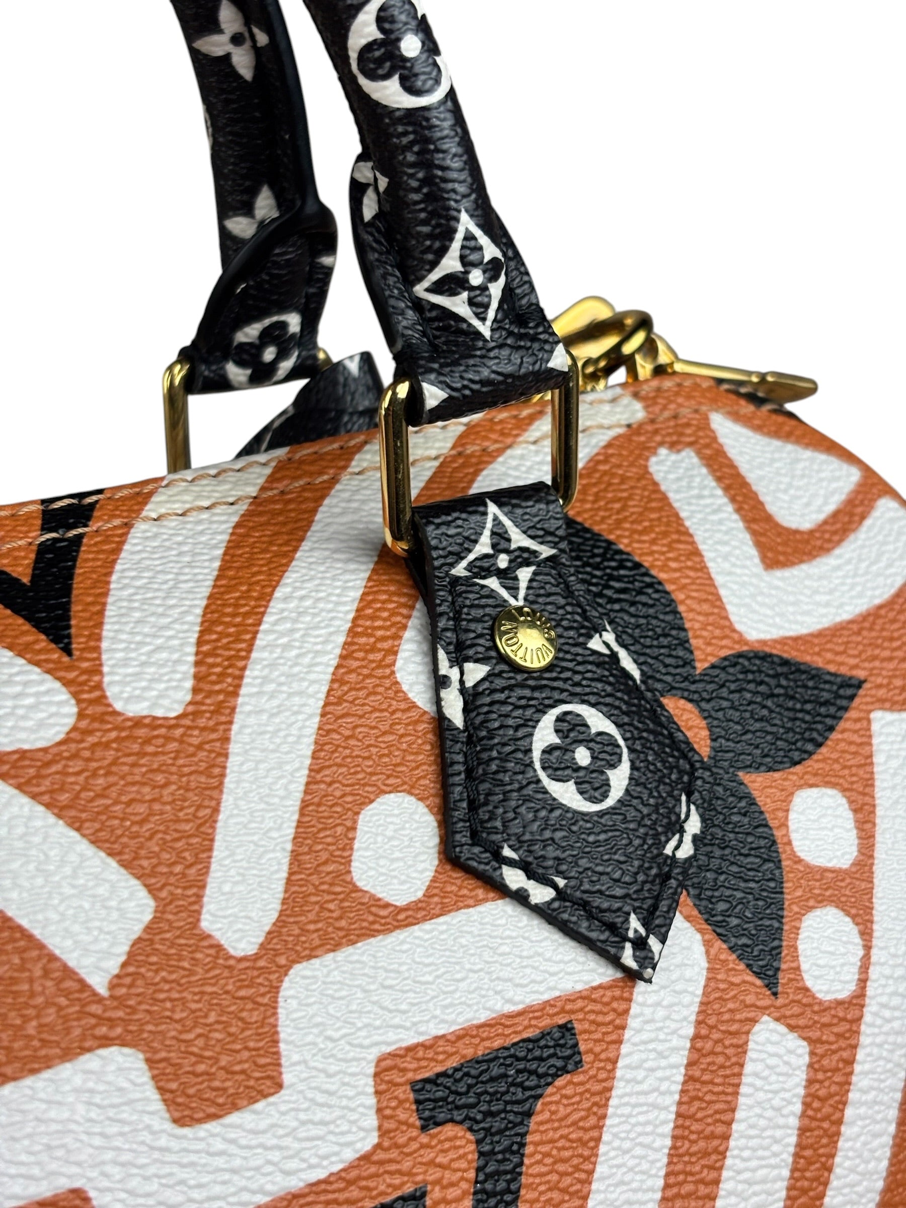 Louis Vuitton Multicolor Crafty Speedy Bandouliere 25