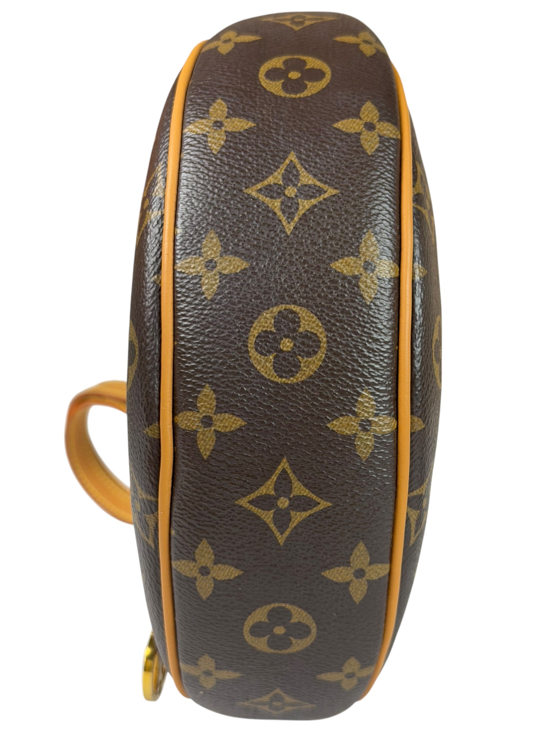 Louis Vuitton Monogram Loop Pochette