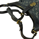 Louis Vuitton Monogram Idylle Romance XS Hobo Bag