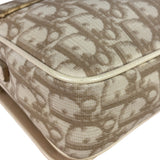 Christian Dior Trotter Flower Embroidered Flap Crossbody