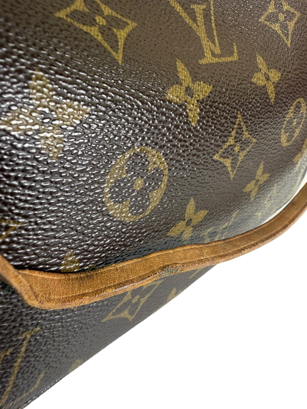 Louis Vuitton Monogram Pochette