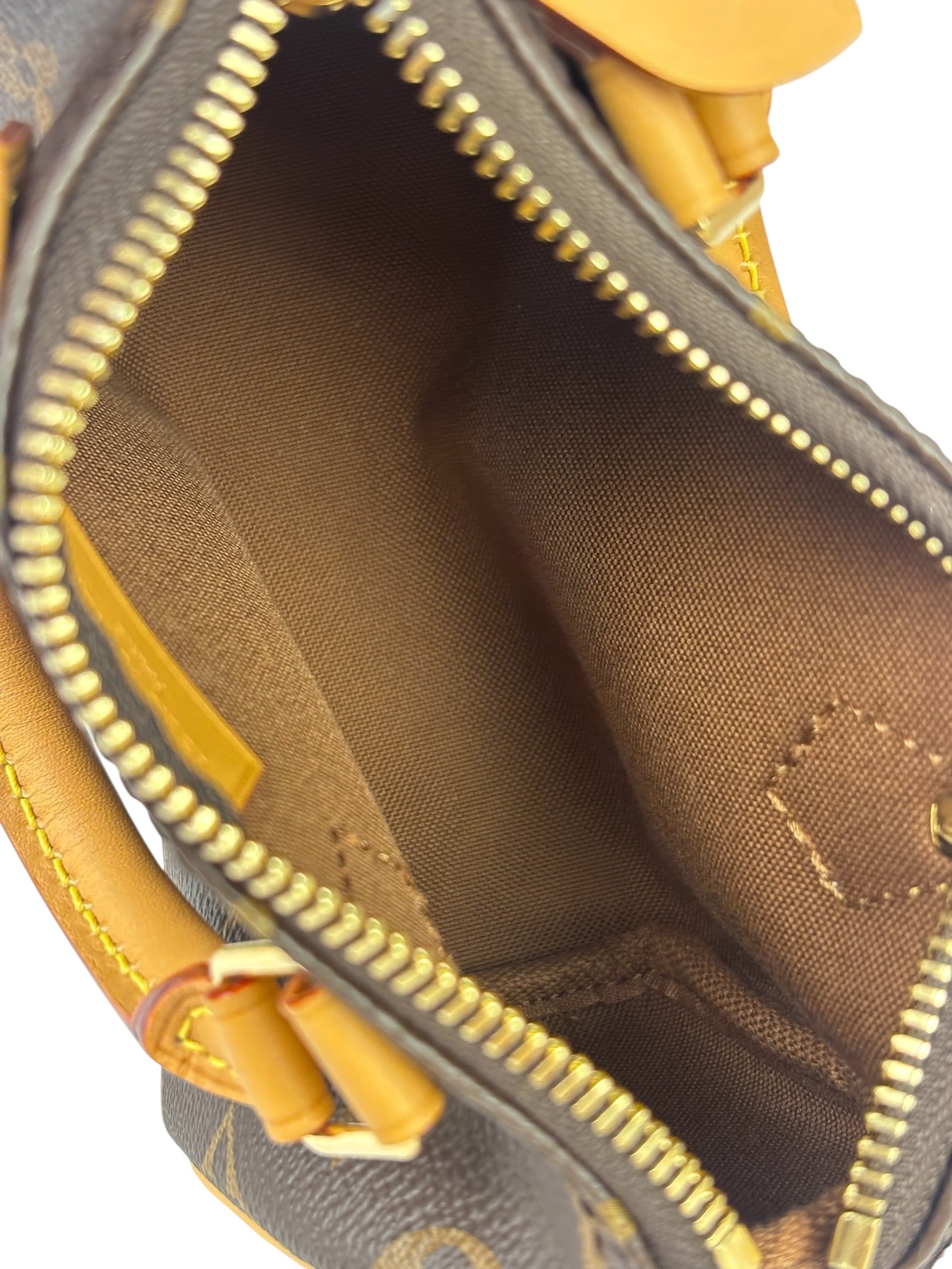 Louis Vuitton Monogram Nano Speedy Two-Way Bag