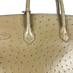Hermes Birkin 35 Mousse Ostrich 2001