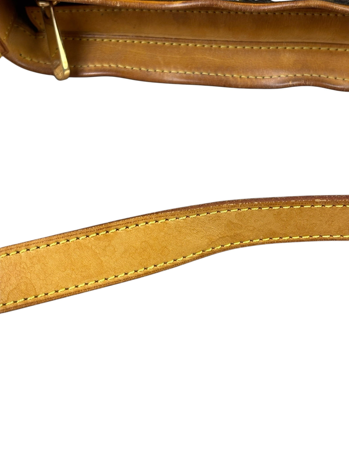 Louis Vuitton Monogram Hudson MM