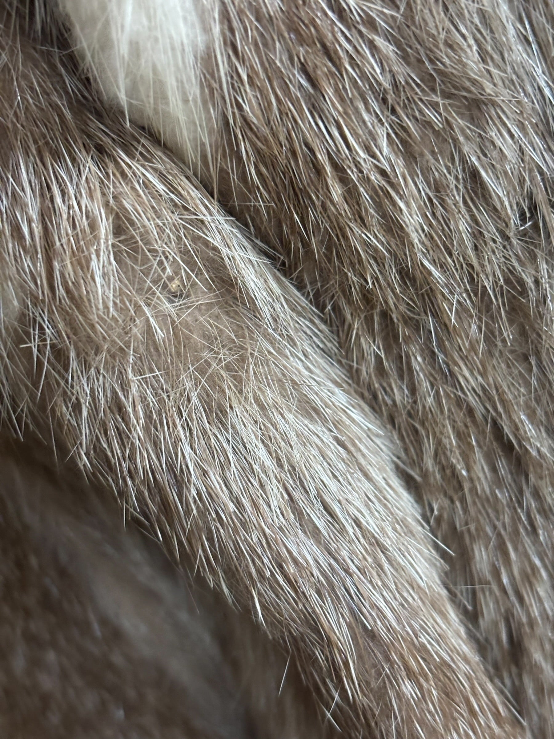Ingrid Klahn x Montreal Canada Badger Fur Coat