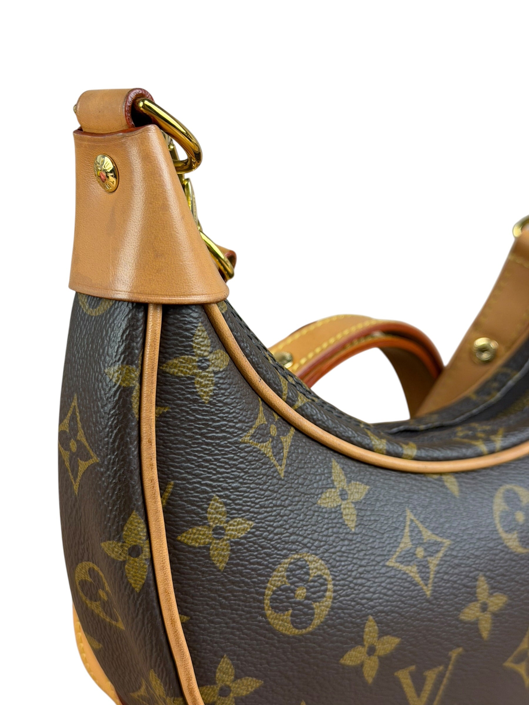 Louis Vuitton Monogram Loop Pochette