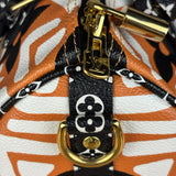 Louis Vuitton Multicolor Crafty Speedy Bandouliere 25