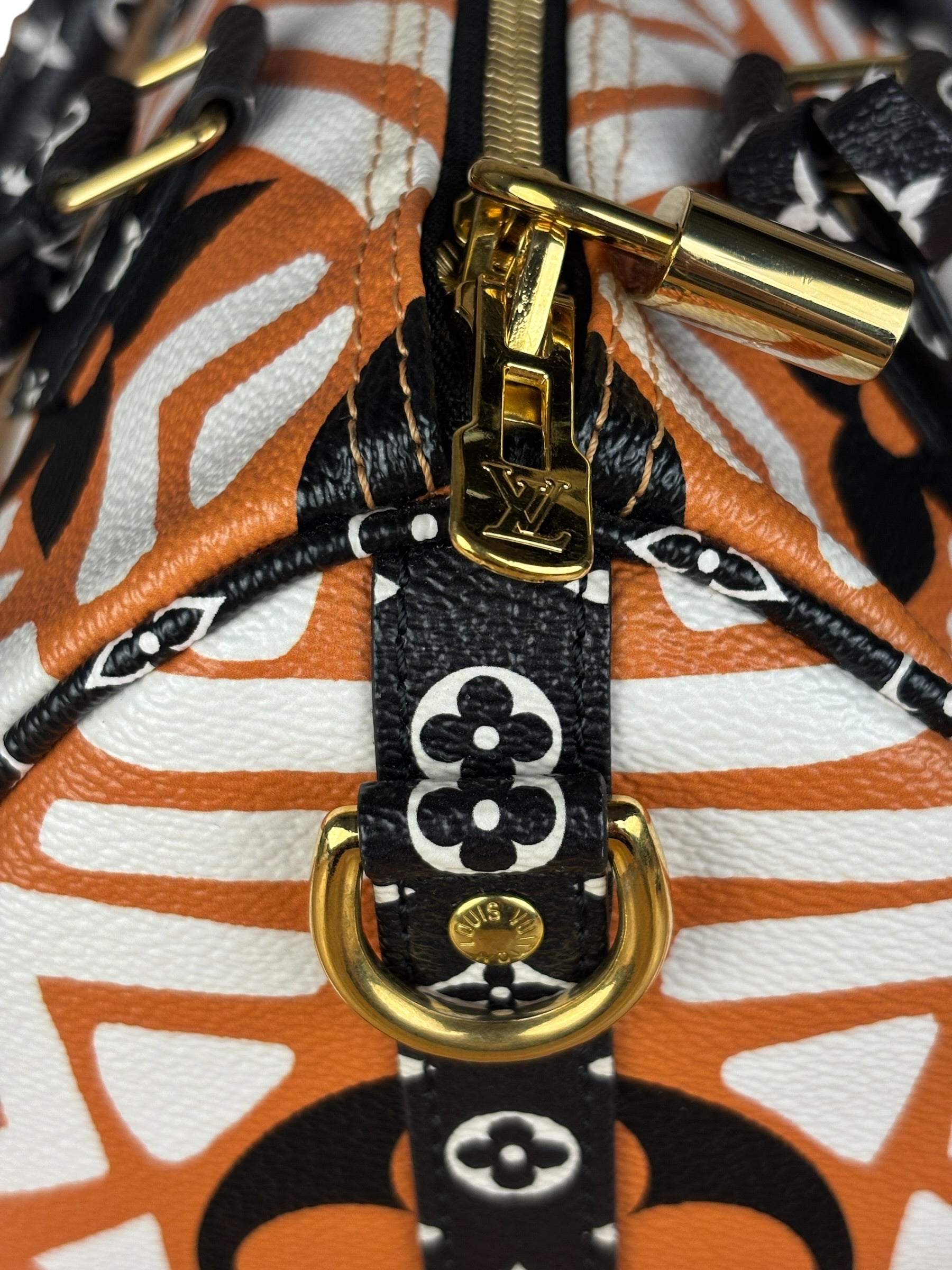 Louis Vuitton Multicolor Crafty Speedy Bandouliere 25