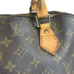 Louis Vuitton Monogram Alma PM