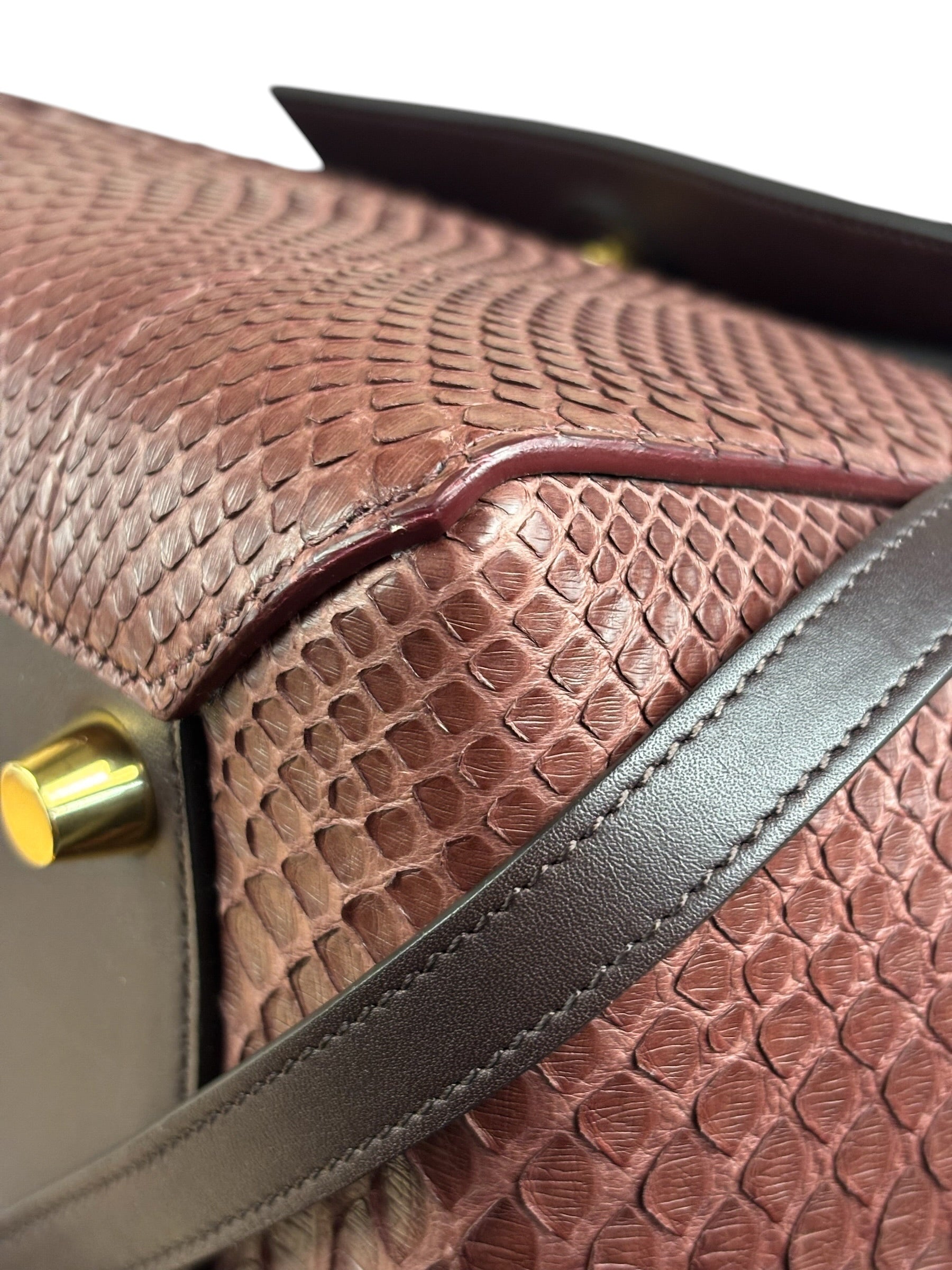 Celine Maroon Python Embossed Trapeze Bag