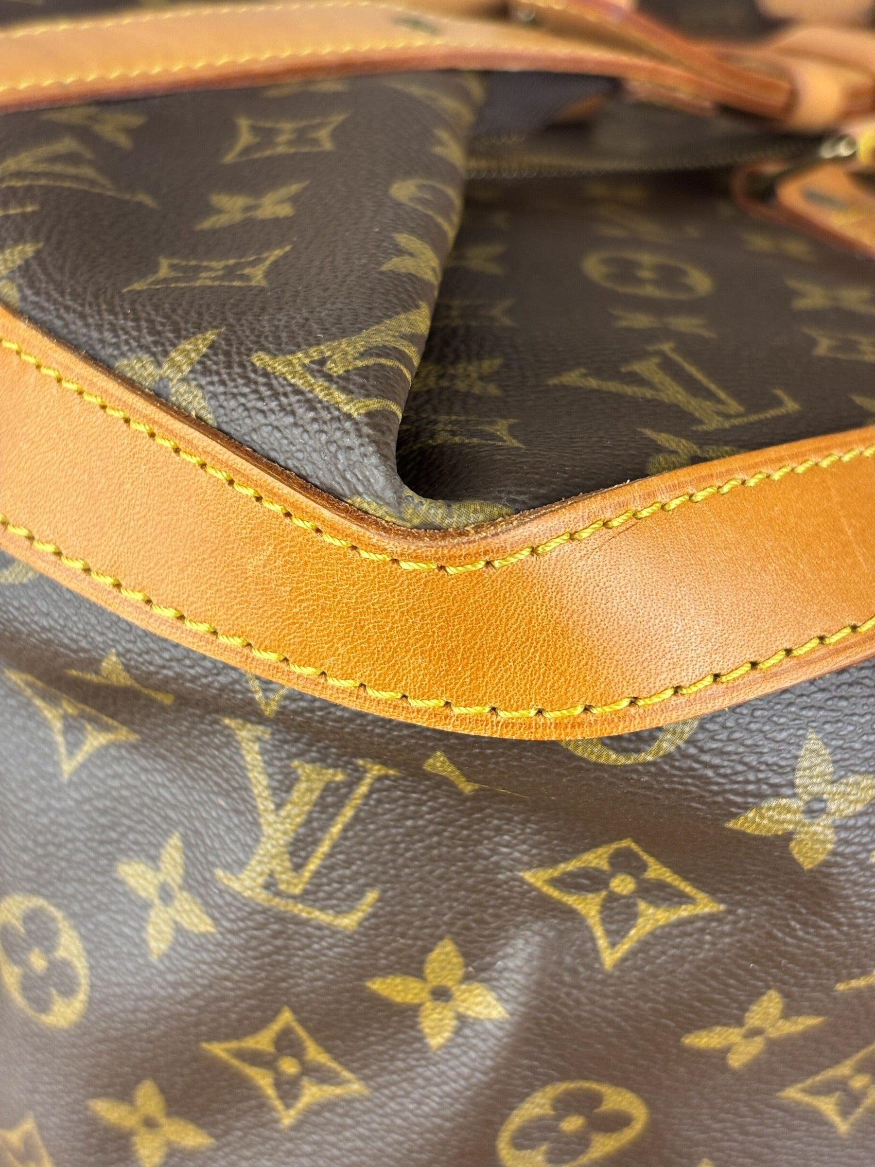 Louis Vuitton Monogram Cruiser Bag