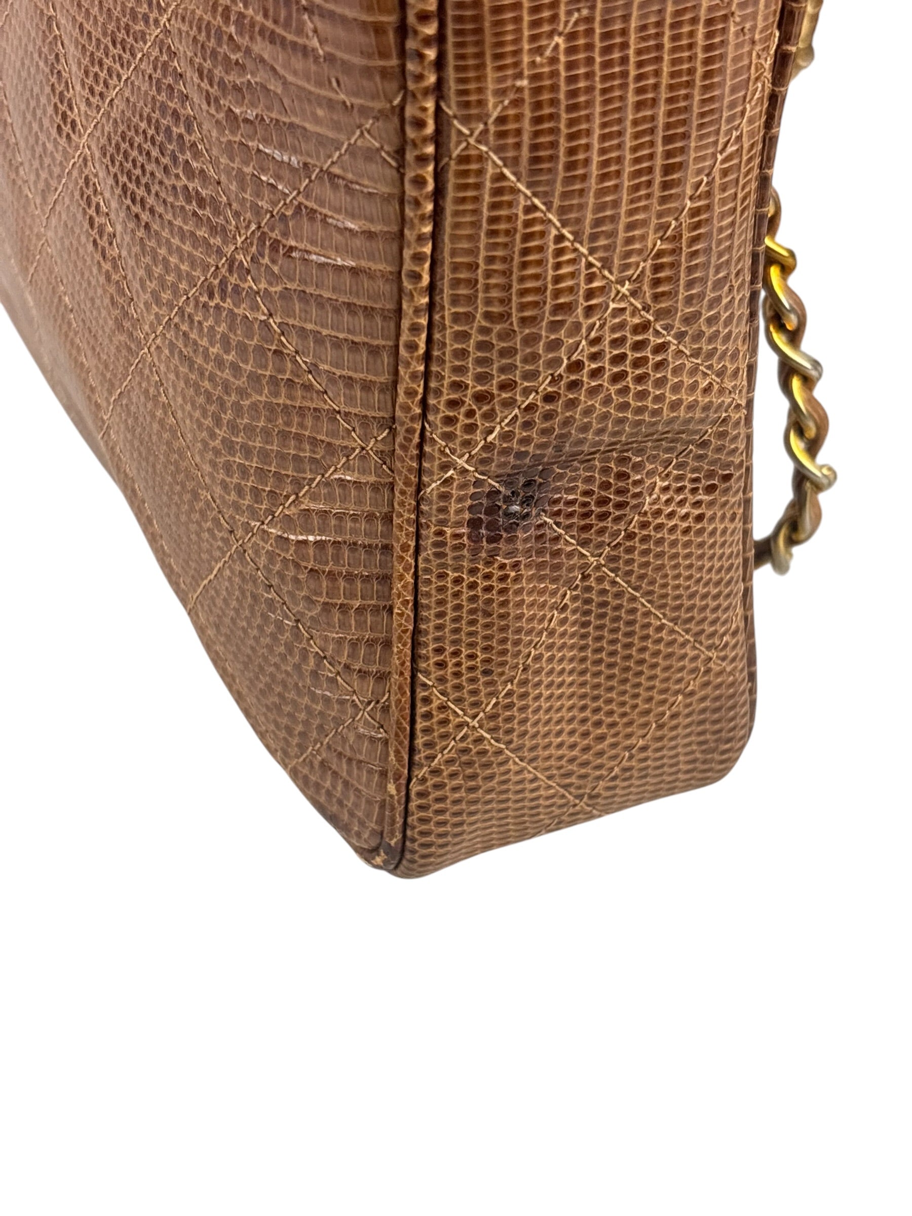 Chanel Vintage Leather Lizard Tassel Camera Case - 1987