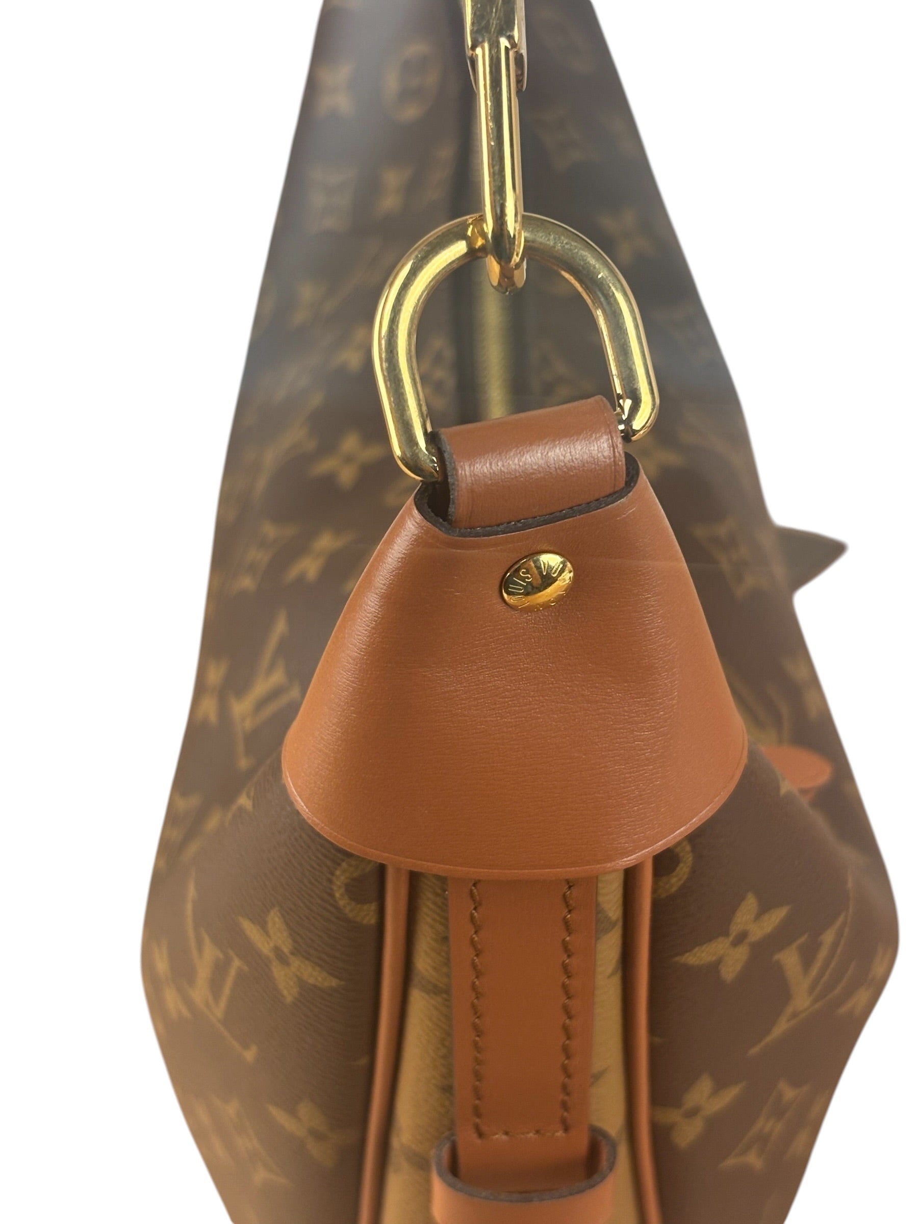 Louis Vuitton Reverse Monogram Loop Hobo