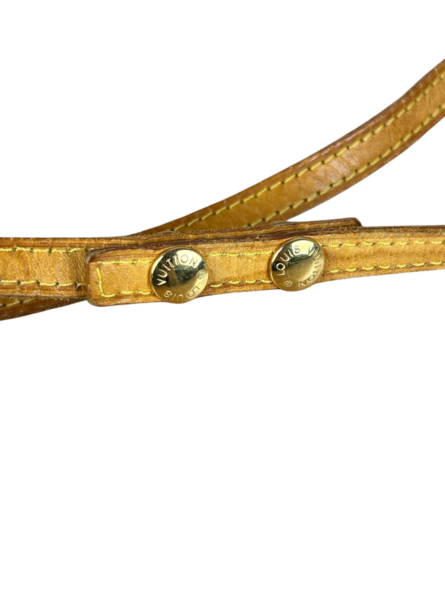 Louis Vuitton Monogram Pochette Twin GM