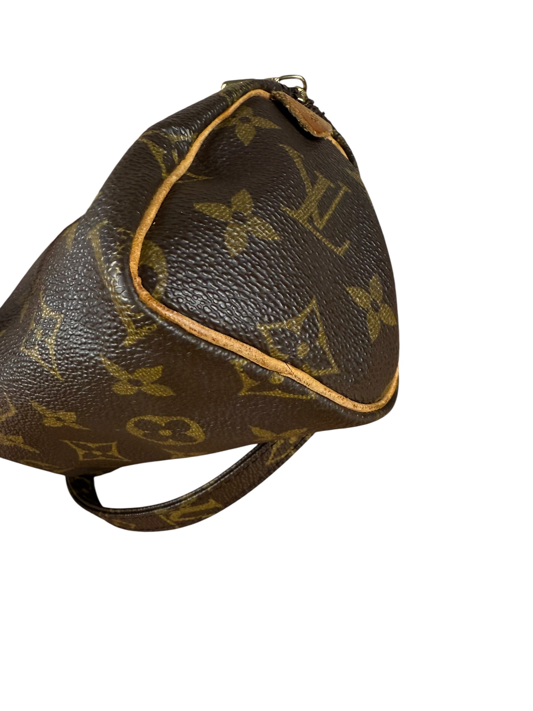 Louis Vuitton Monogram Nano Speedy Bag