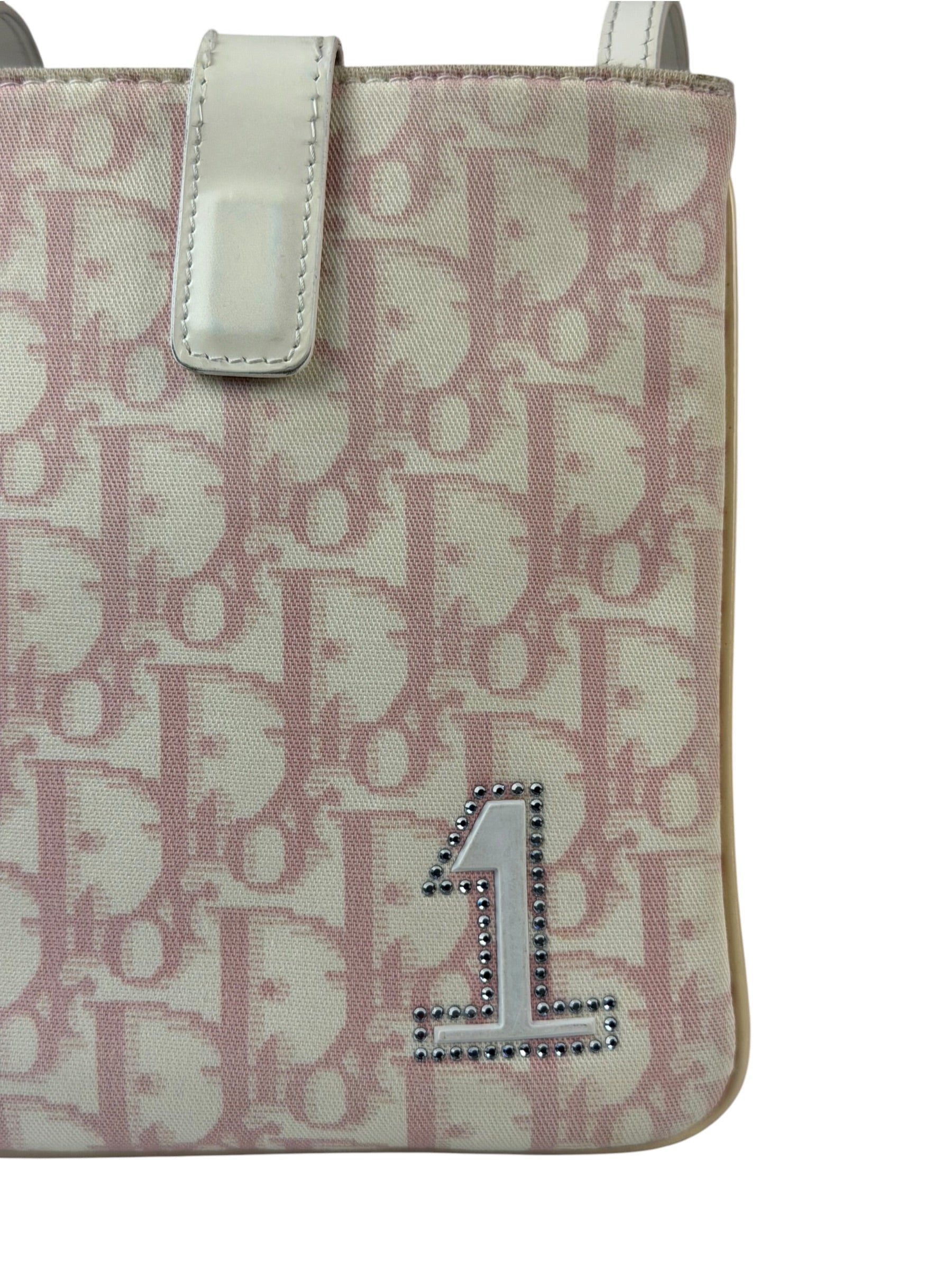 Dior Trotter Pink Canvas Crossbody Pouch