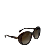 Gucci Brown Oversized GG0368S Sunglasses