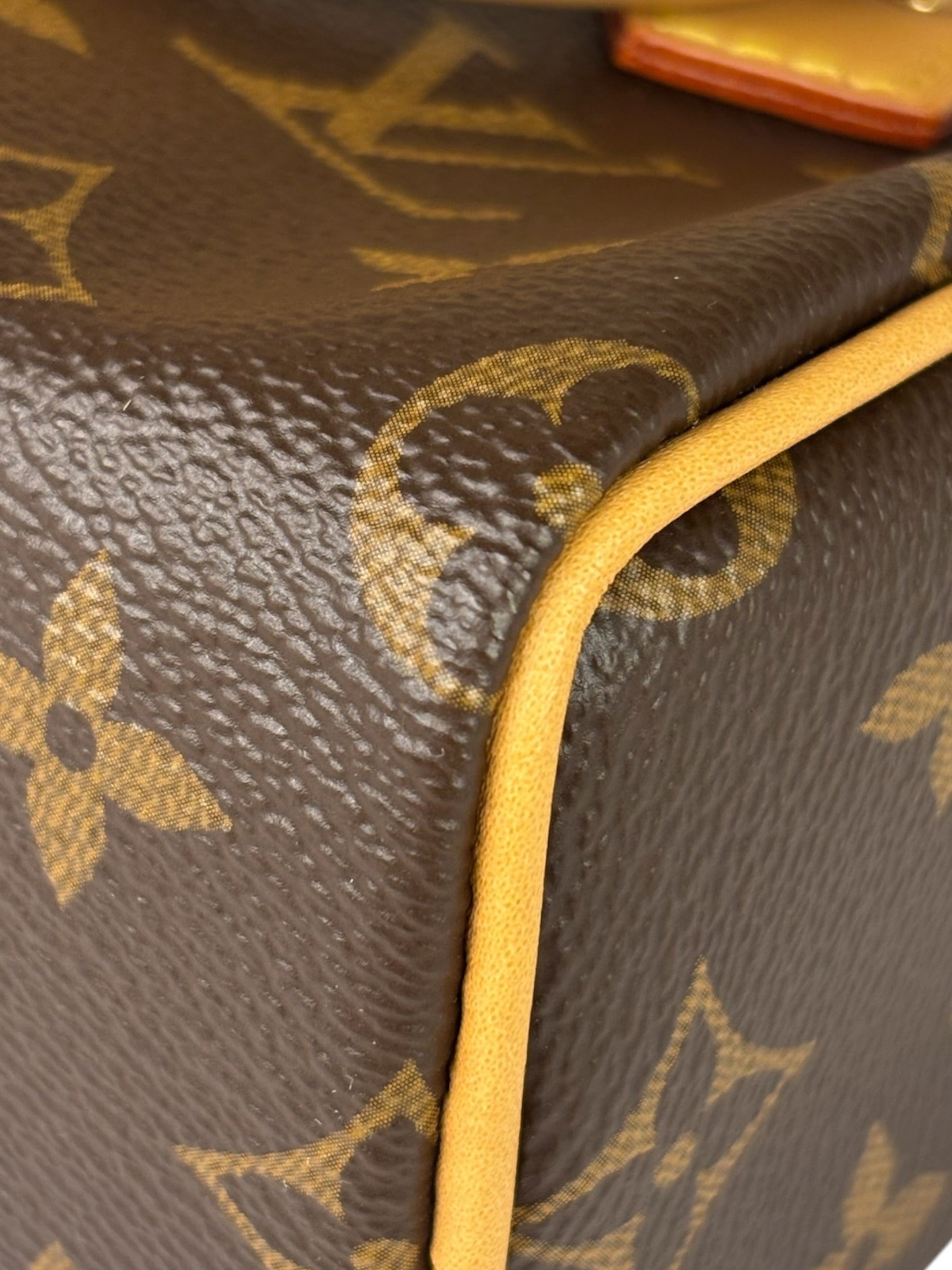 Louis Vuitton Monogram Nano Speedy Two-Way Bag
